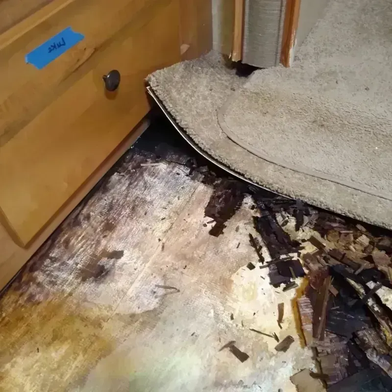 Wood Floor Water Damage in Pleasant Hills, MD